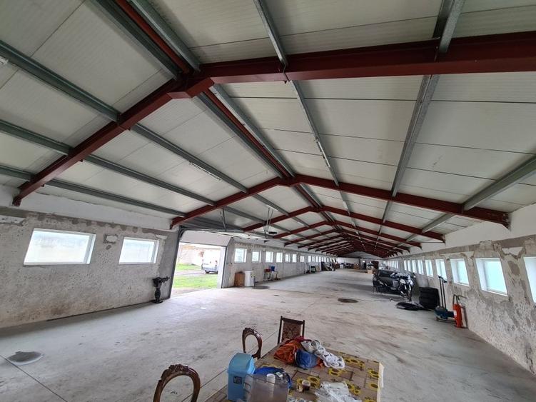 Oportunitate Unica: Teren Intravilan cu Hală de productie și Casă Modernă - 6