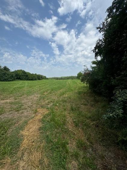 Teren intravilan Comana - 10