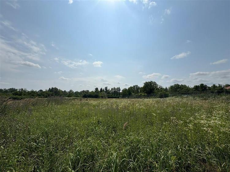 RECO Teren intravilan Podgoria - 1