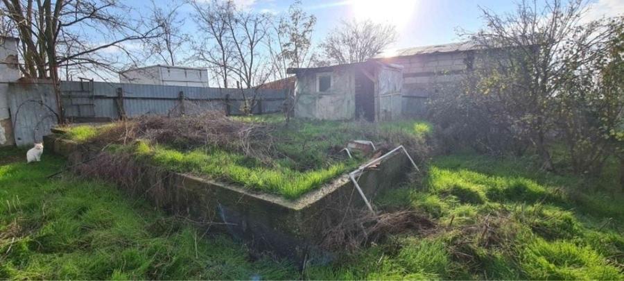 Teren 15 km de Bucuresti 2 constructii, fundatie 90mp, put apa, fosa.. - 6