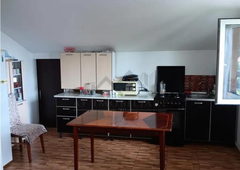 Copou Vila P M Su.165mp Teren 1000mp vecin cu limita Gradina - 10