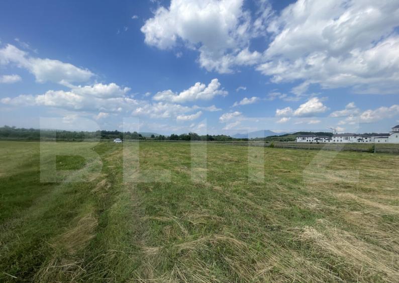 Teren extravilan 1200 mp Dorolea, aproape de Manastire - 3