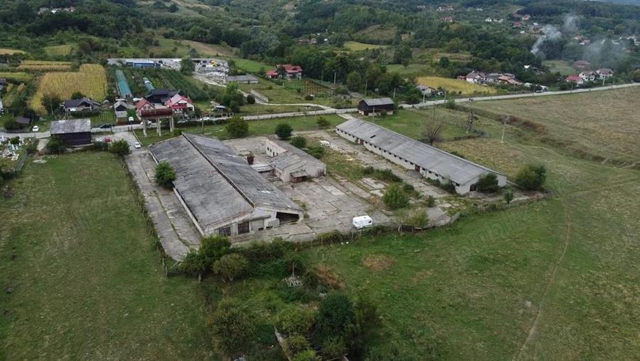 Hale de vanzare in comuna Ciofrangeni, jude? Arge?. - 8