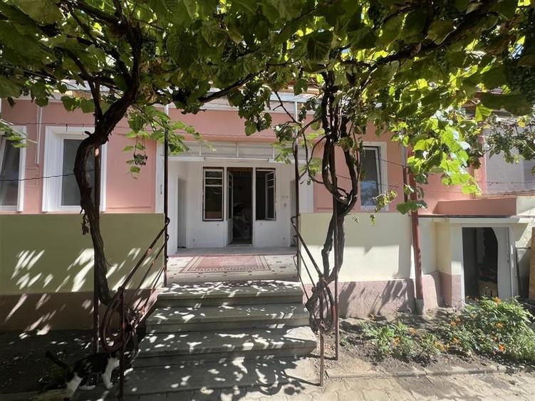 RECO, Doua case, zona  ultracentral, singur in curte, Oradea - 8