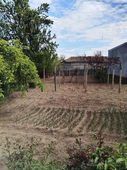 CASA DE VANZARE!Casa Viile Ion Corvin! - 6