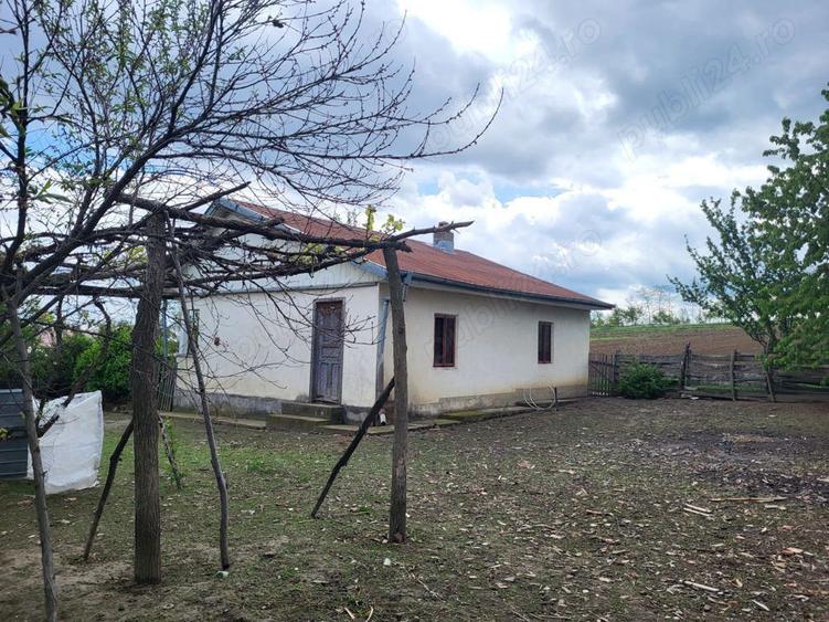 Oras Liteni, Silistea - teren extravilan ?i intravilan 10.880 euro ?i 45.000 euro - 3