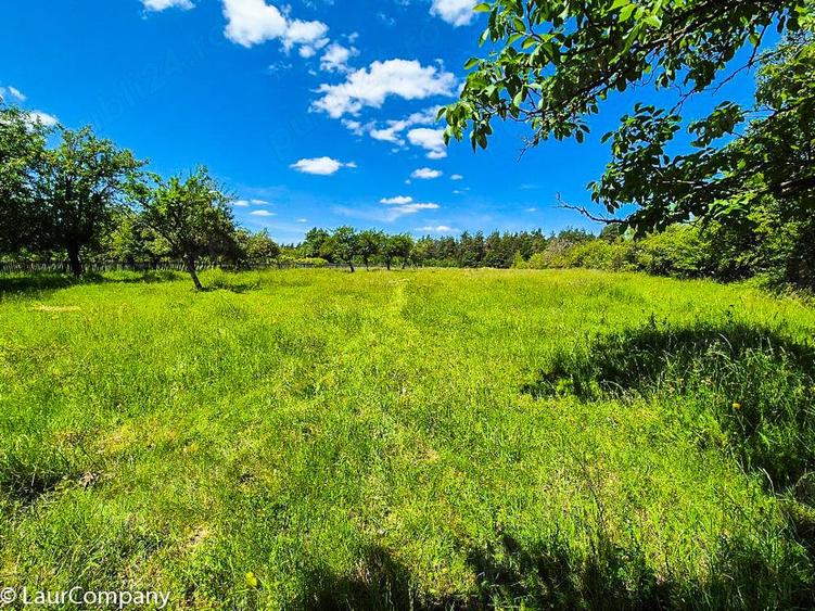 Teren intravilan Cotmeana Arges - 1