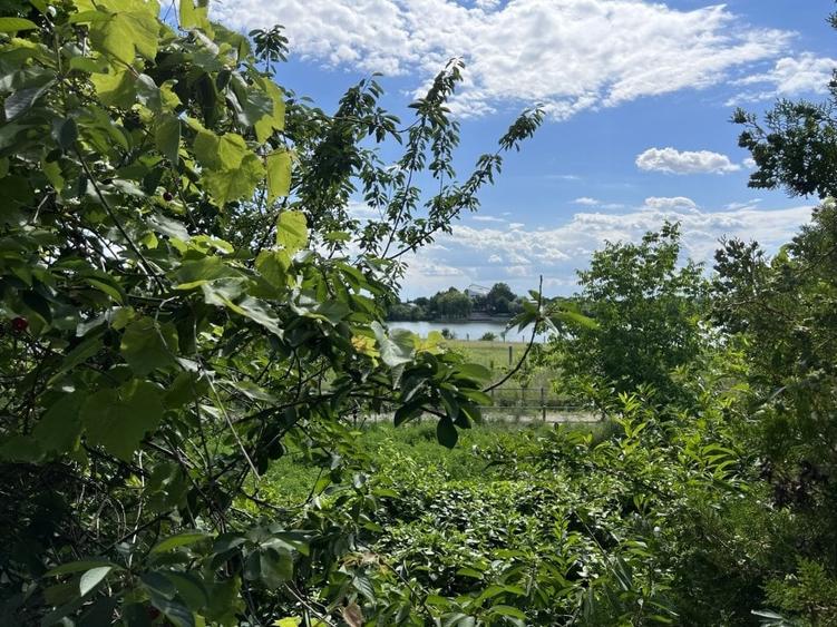 Casa-langa studiourile Buftea, 2 constructii, curte cu pomi, 2300mp, langa lac - 27