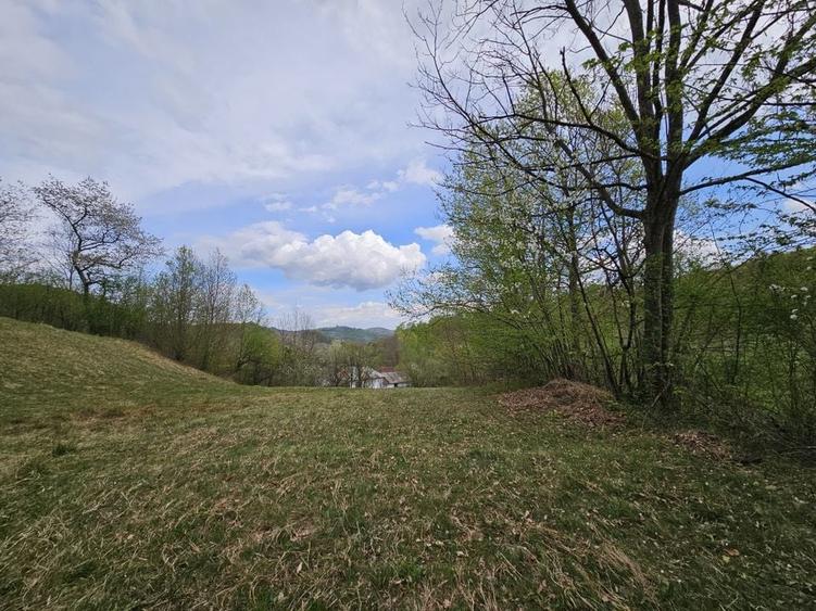 Teren intravilan 1454 mp la marginea padurii zona locuita de case! - 12