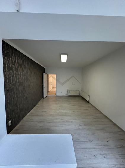 Spatiu Alexandru cel Bun - 1