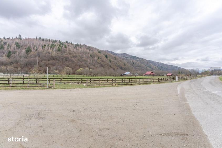 Teren intravilan, 6.900 mp, construibil Plaiul Foii, Zarnesti - 5