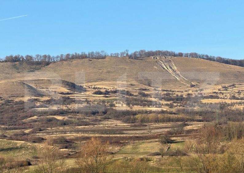 5 terenuri extravilane agricole cu suprafata totala de 13.37 - 8