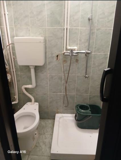 Pantelimon, Spital, parc - 3