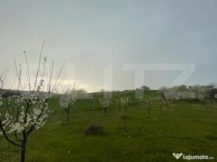 Teren intravilan 4447 mp, Pielesti. 28 ml deschidere - 1