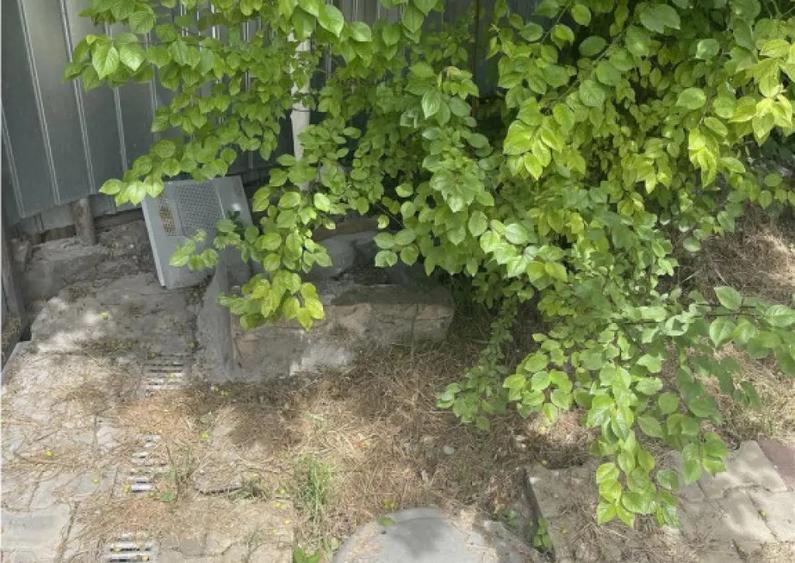 Teren de in zona Prislav Tulcea - 3