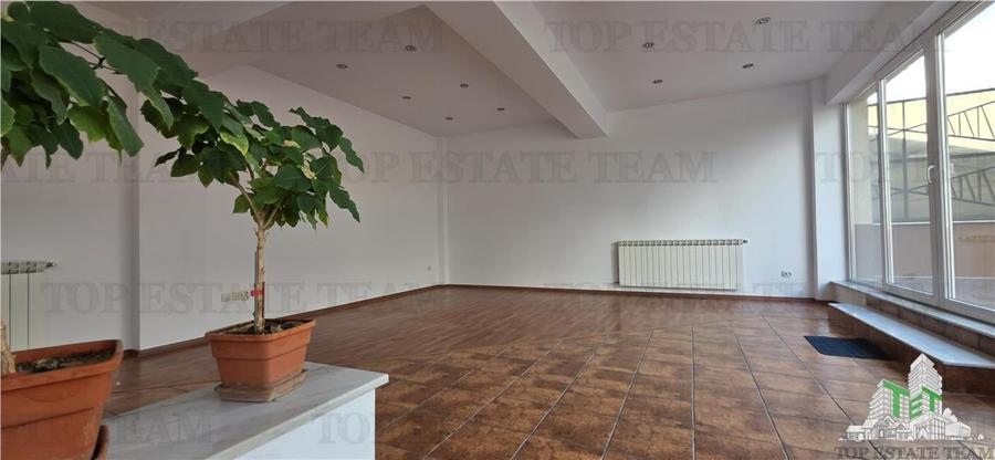 Vanzare Vila 7 camere Ion Mihalache - Miciurin - 15