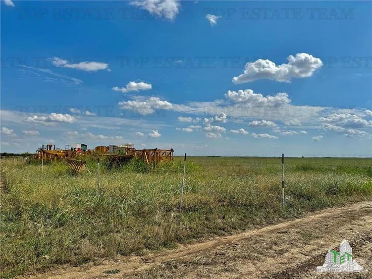 Teren 64 de parcele de vanzare /  Teren de investitie / Frumusani / Calarasi - 1