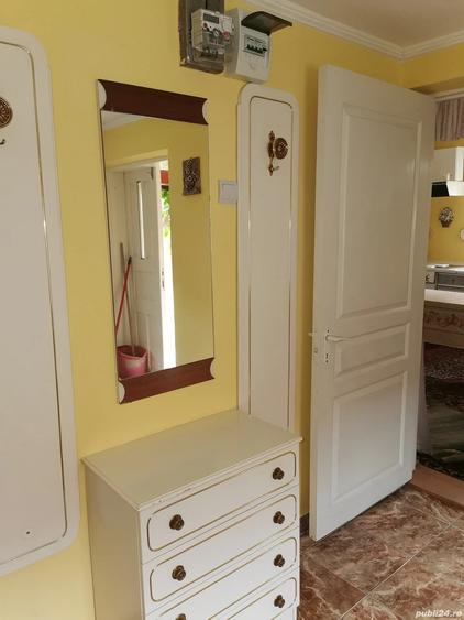 Casa de vanzare, 43 ari teren, Horodnic de jos - Suceava - 1