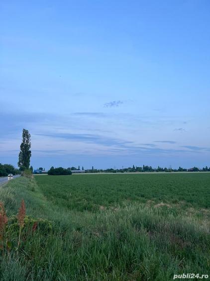 Teren 7500mp Prahova Albesti Paleologu - 1