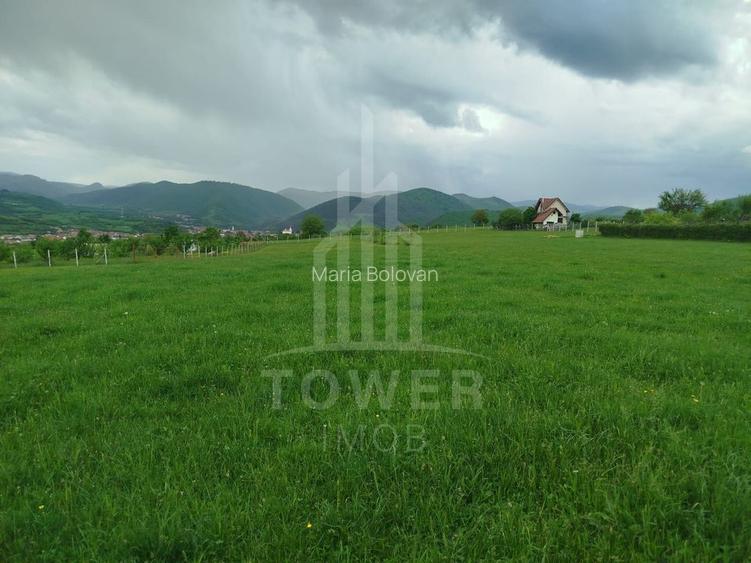 Teren de vinzare in Tropini Vechi