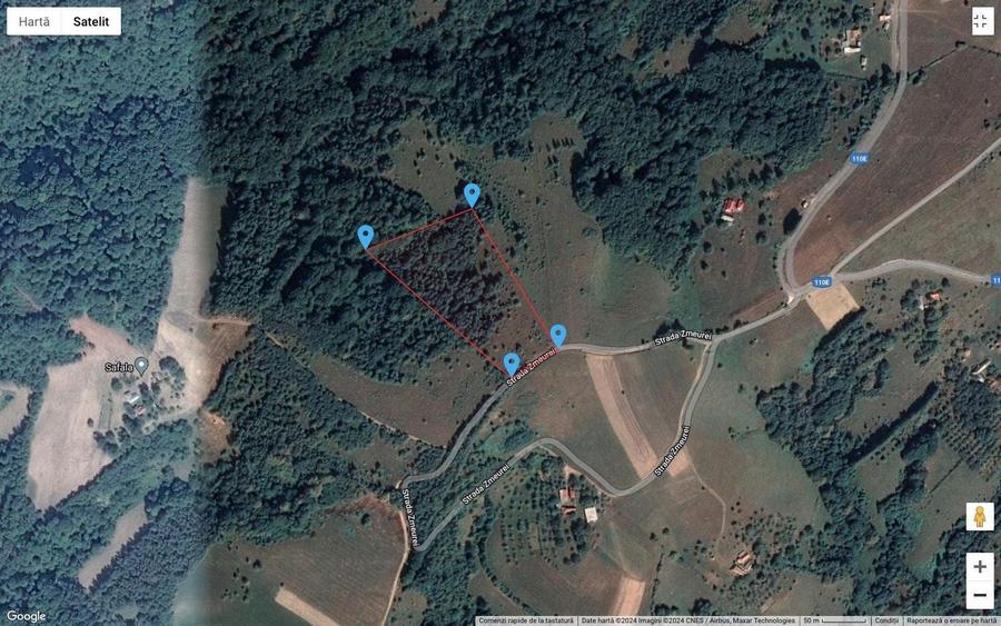 De vanzare 16250 mp teren Sinteu - 2