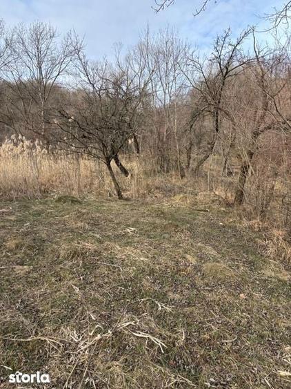 Teren de vanzare Fieni Dambovita - 8