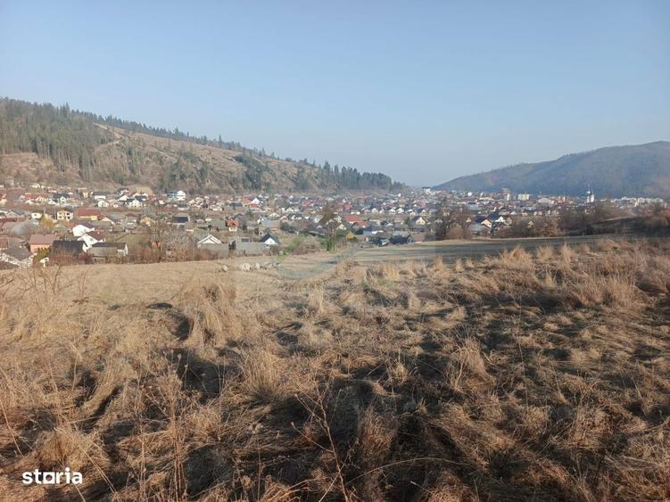 Teren extravilan 3000 mp de vanzare - 8