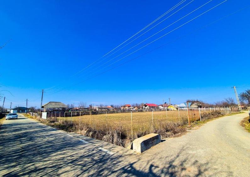 Teren Intravilan Cuca Arges - 3