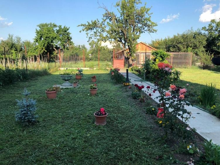 Braytim casa parter (3cam) + casa P+1E rosu (5cam) - teren 1942 mp - 1