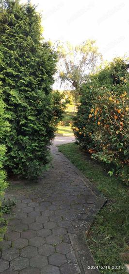 Vand casa unifamiliala - 6