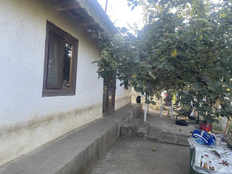 Oaza ta de lini?te la ?ara - 8