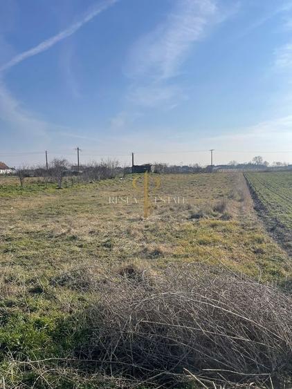 Teren intravilan de vanzare 2.518 mp - 3