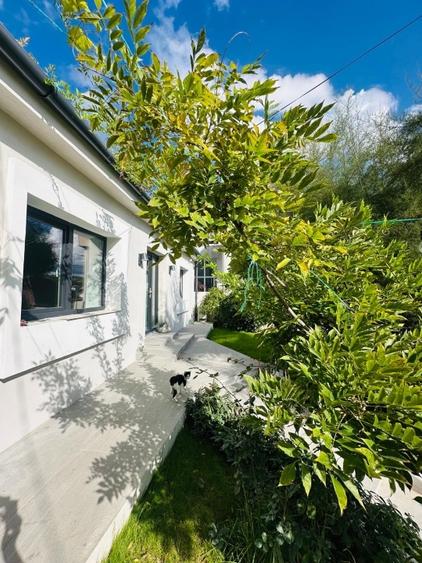 Casă luminoasă, pe un singur nivel, vizavi de Spitalul Județean, teren 540 mp - 3