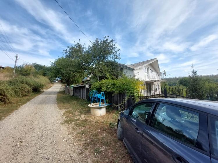 PROPRIETATE SUPERBA IN BIBIRESTI - 3