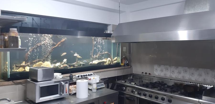 Vila cu 16 camere, ideala pentru azil de batrani sau turism - 22