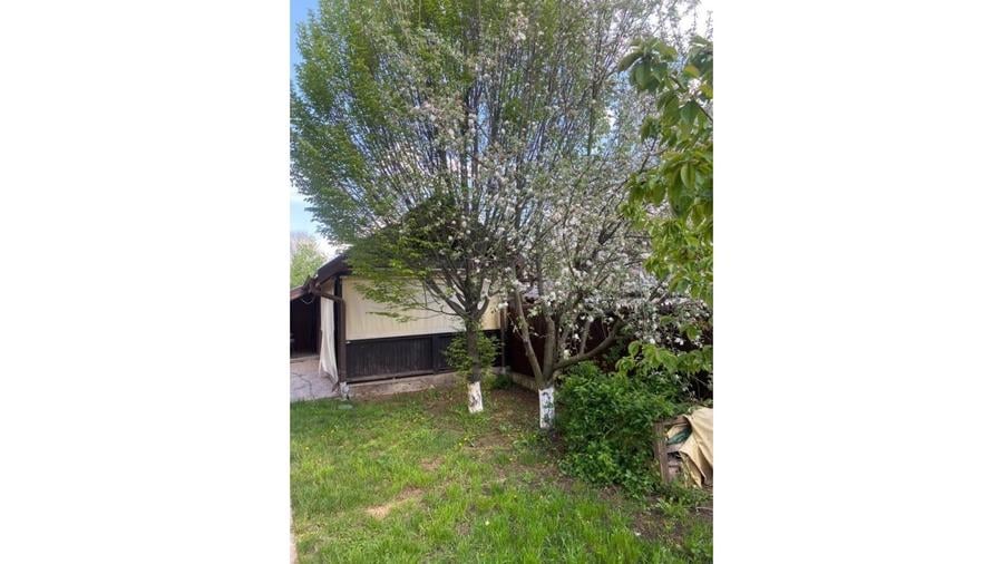 REV2005616 Casa de vacanta - Butimanu - langa lac - 7