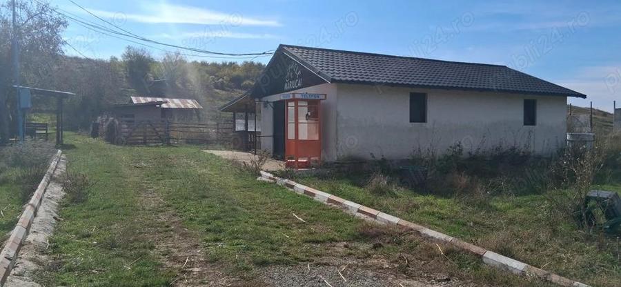 Ferma de vanzare , zona Dambu - 9