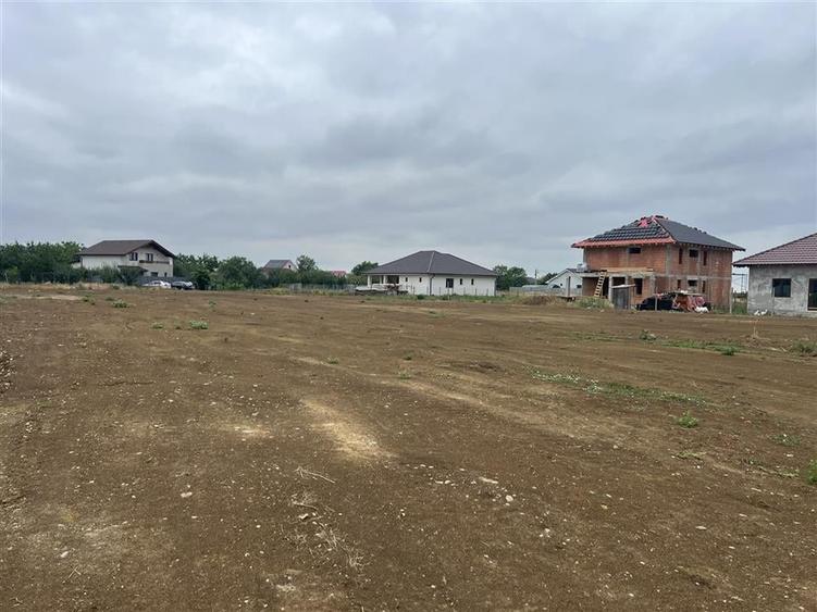 RECO teren Sanmartin - 2