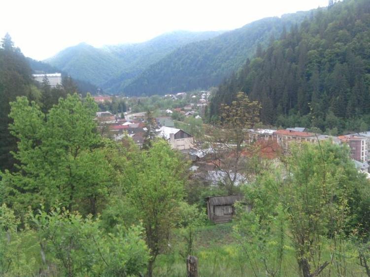 Teren agrement Voineasa IN SPATELE PRIMARIEI cu cabana ideal pentru pensiune - 2