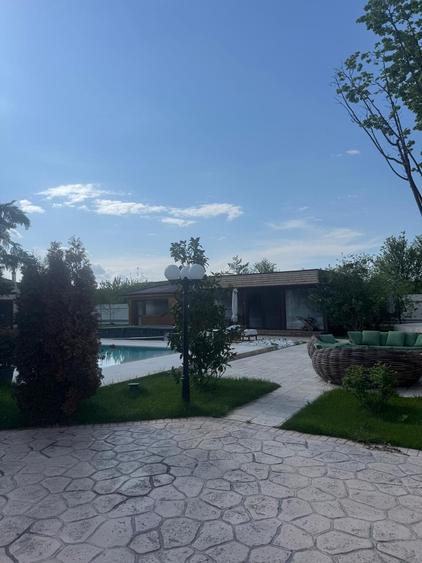 Snagov, vila individuala P+1, 6 camere, teren 2481 mp, - 4