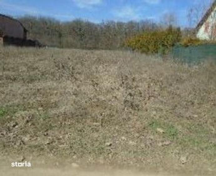 Teren Ganeasa, cota parte 1/2 ; ID: R2928516 - 8