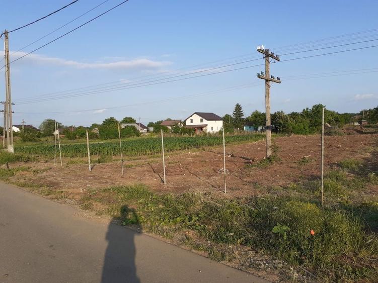 Teren 2248 mp Moara Vlasiei | Apa, gaz, canal, curent | Asfalt | Scoli | STB - 3