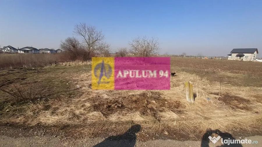Teren investitie Ilfov - 1