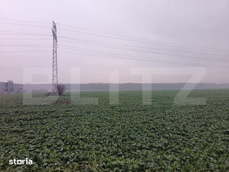 Teren de 15000 mp, în Păulești