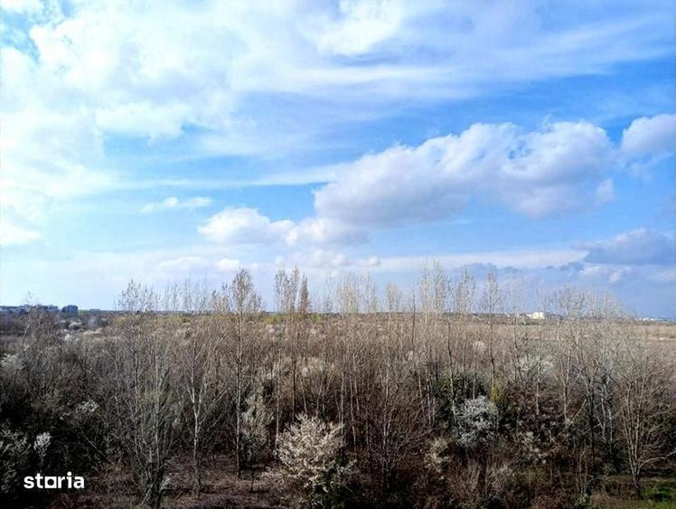 Apartament 4 camere | Vatra Noua | Etaj 3/3 | 2 Parcari | 170 mp - 3
