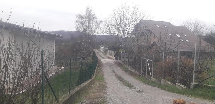 Spațiu comercial, în Vlădești