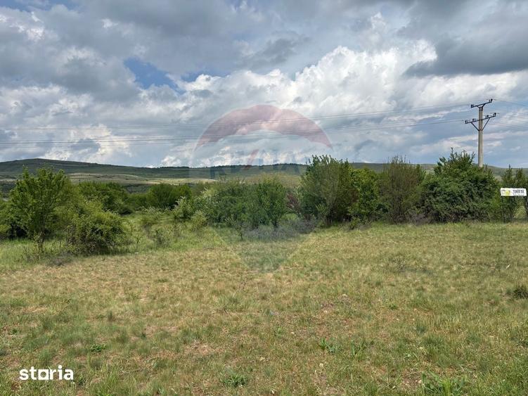 Teren de vanzare 13783mp, front la DN, parcela unica zona de vest - 6