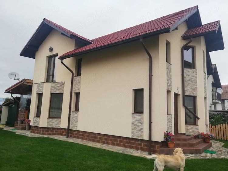 Casă cu Teren 300 Mp în Curtișoara