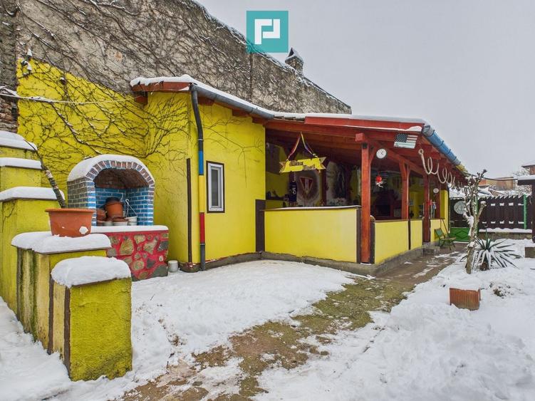 Casă individuală cu 4 camere cu Piscina în Pârneava