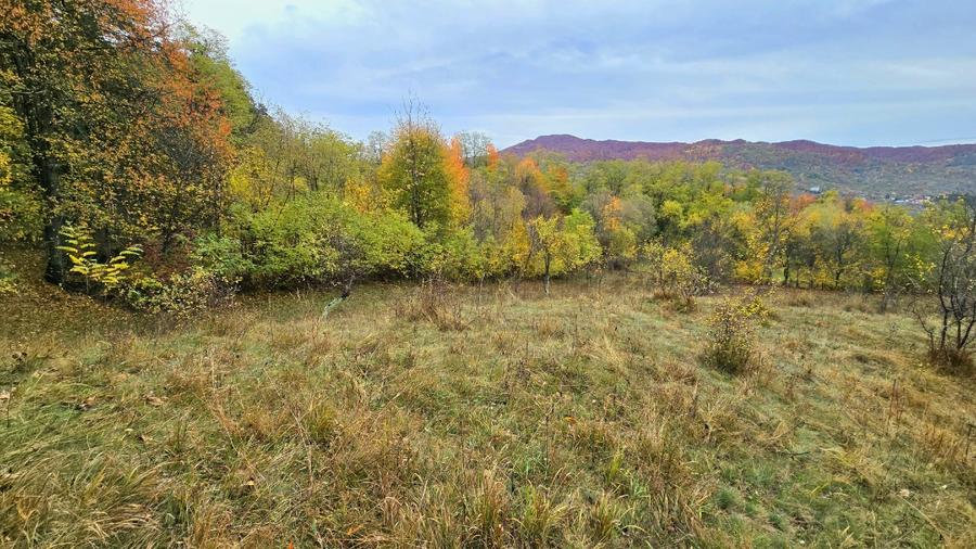 Teren agricol extravilan de 4570 mp, în Corbeni